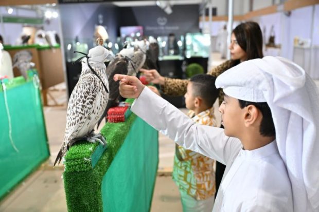 Falconry remains a fascinating sport for the young and the old (ADIHEX)